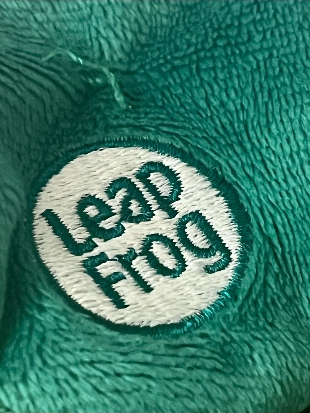 Leap Frog My Pals Scout & Violet Plush Talking Puppies - Green and Purple